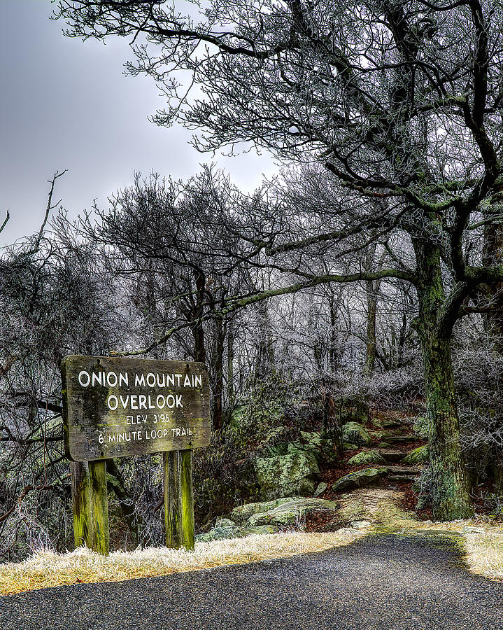 Onion Mtn Overlook Photograph by Steve Hurt