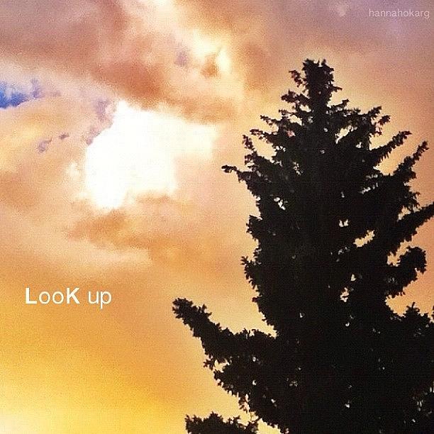 Tree Photograph - ʟooĸ Up To The Heavens☁ Idea From by Hannah Karg