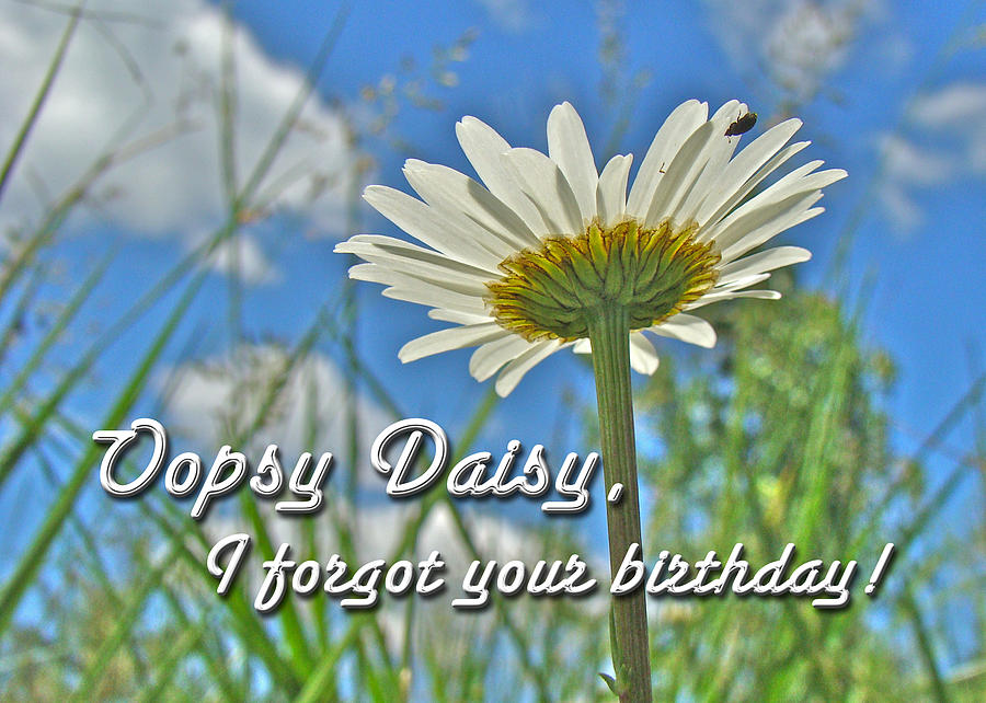 Oopsy Daisy - Belated Birthday Card Photograph by Carol Senske