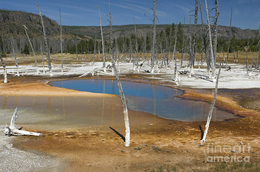 Opalescent Pool of Yellowstone Photograph by Sandra Bronstein