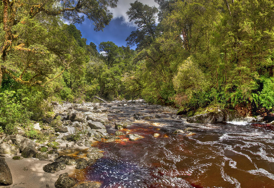 Oparara River In Arches Kahurangi Np Photograph by Colin Monteath
