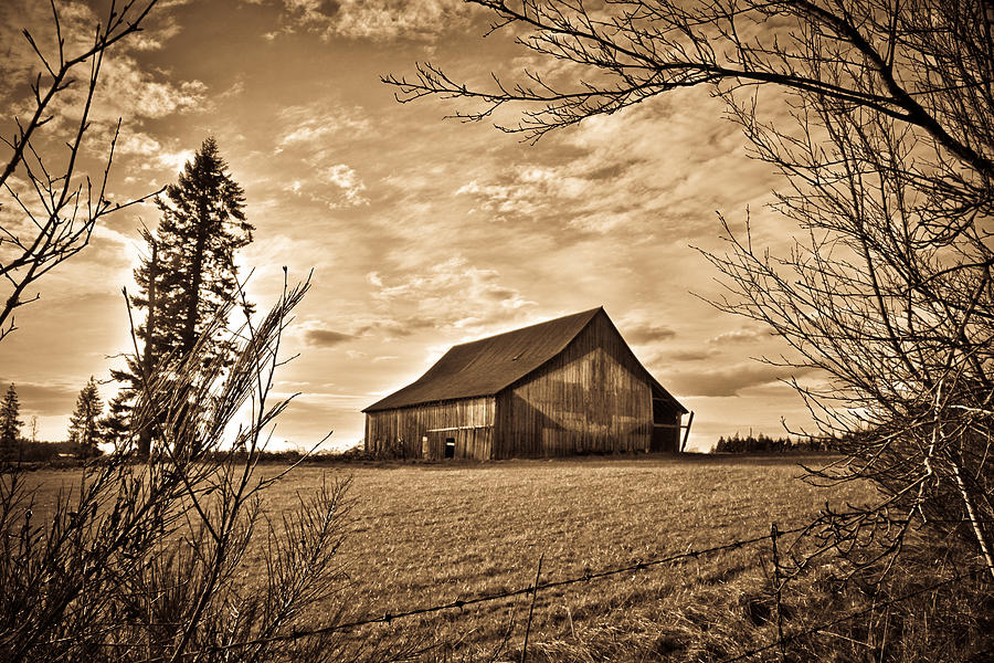 Open Meadow Barn in Black and White Photograph by Steve McKinzie - Fine ...