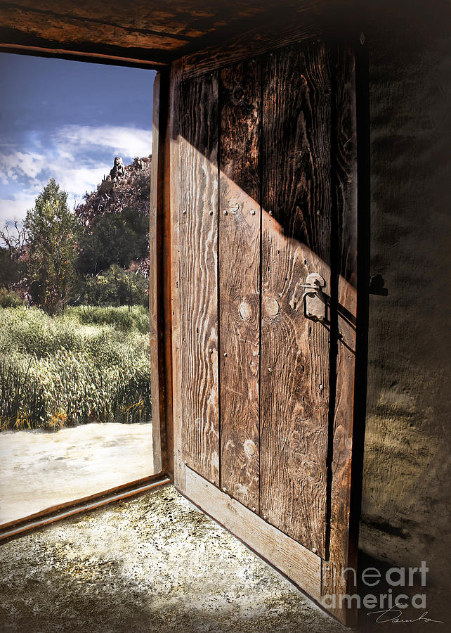 Open the door Photograph by Danuta Bennett