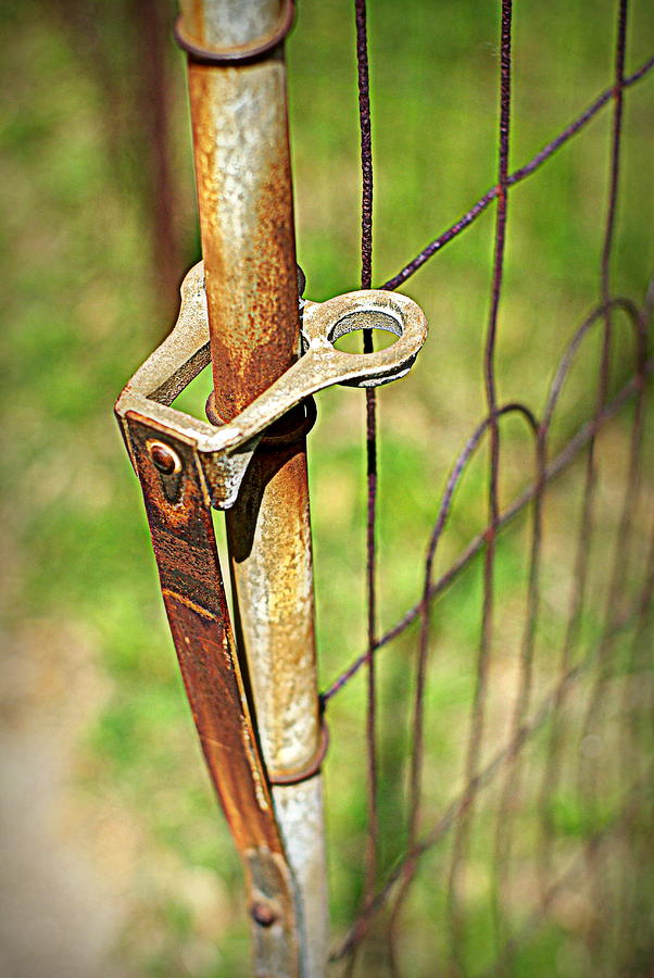 Open the Gates I Photograph by Linda Mishler