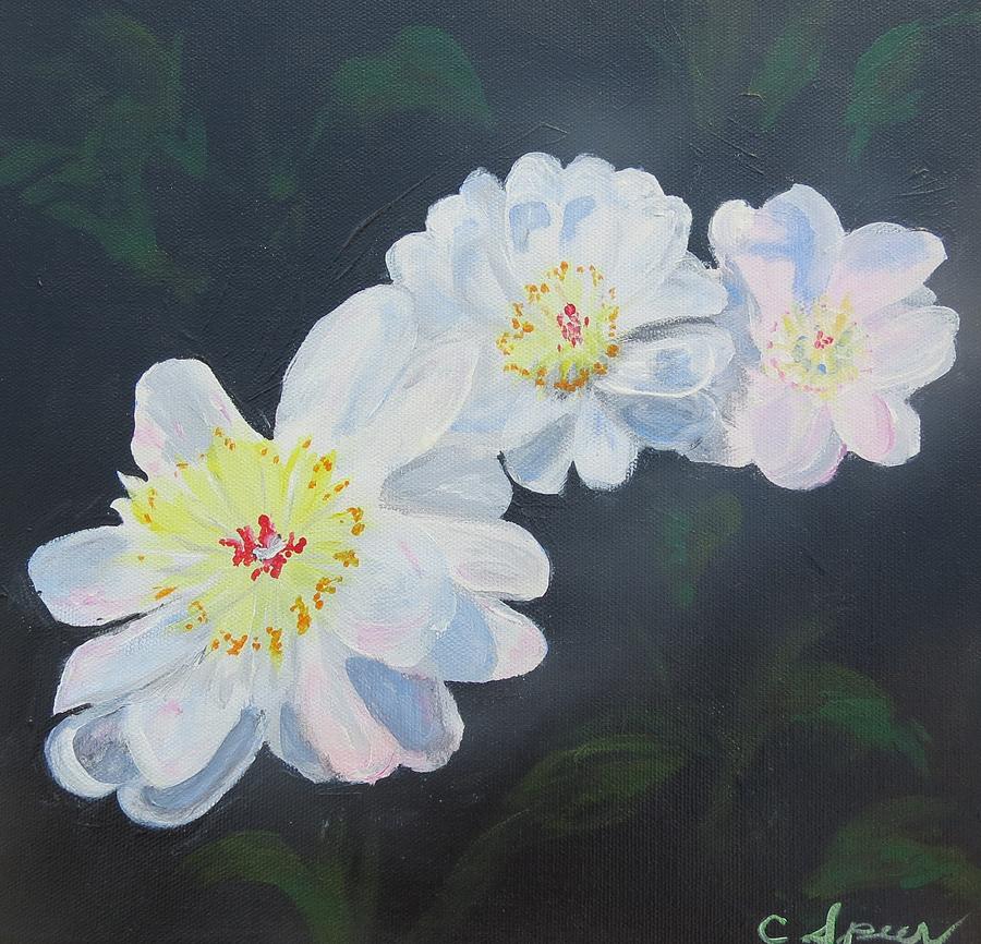 Flowers Still Life Painting - Opened Peony by Carolyn Speer