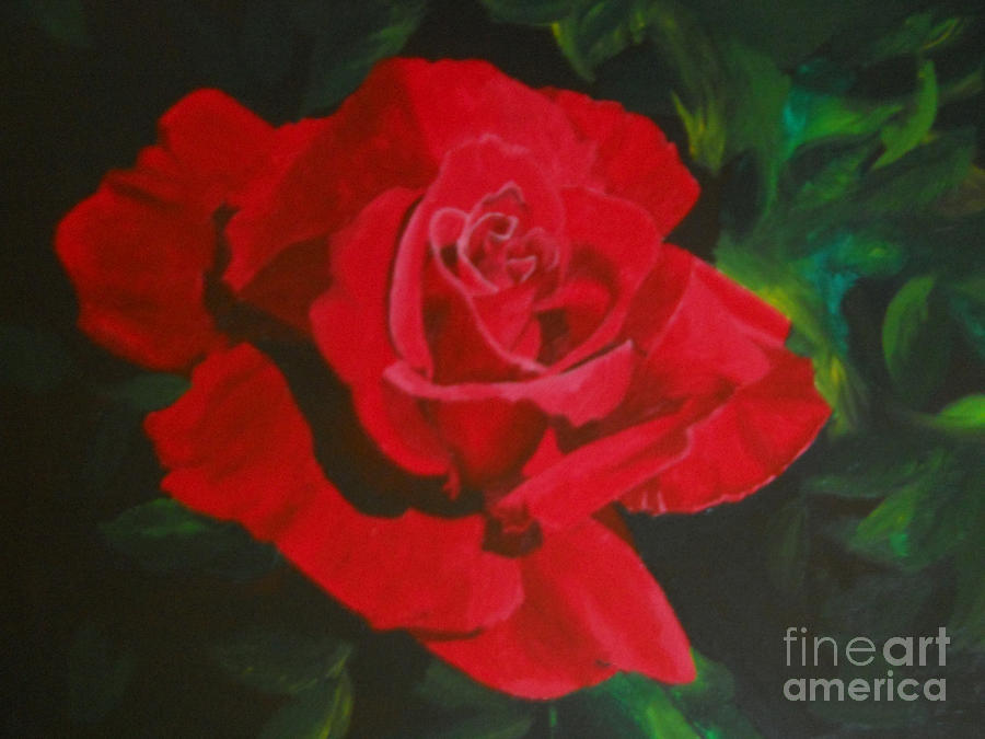 Opening Night Rose Painting by Yenni Harrison