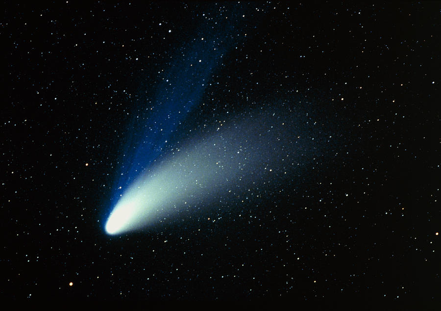 Optical Image Of Comet Hale-bopp In The Night Sky Photograph by Dr Fred ...