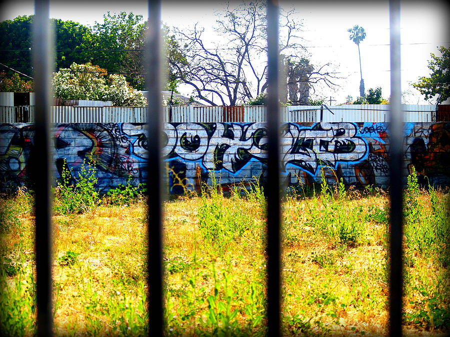 Grafitti Photograph - Options by D Wash Grafitti Photograph - Options by D Wash