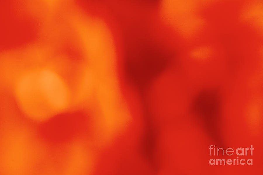 Abstract Photograph - Orange abstract by Gaspar Avila