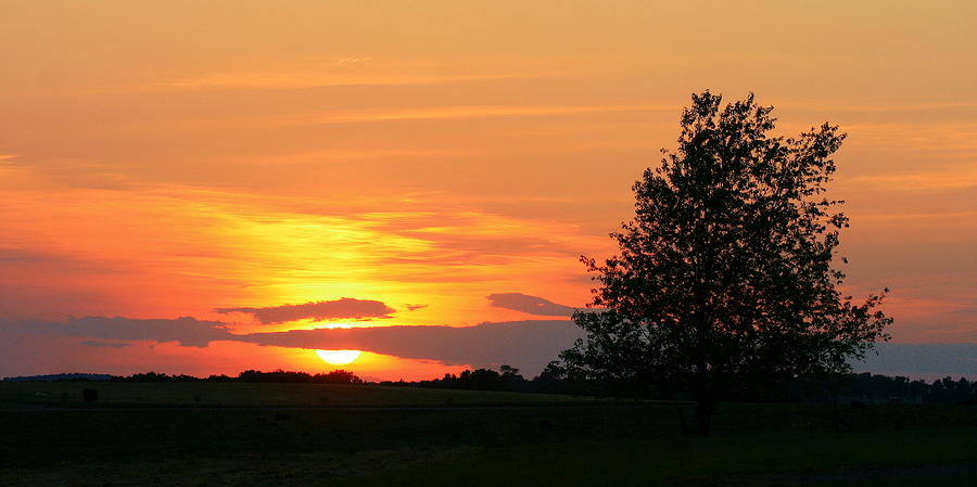Landscape Photograph of a Fiery Orange Sunset and Tree Silhouette Photograph by Angela Rath