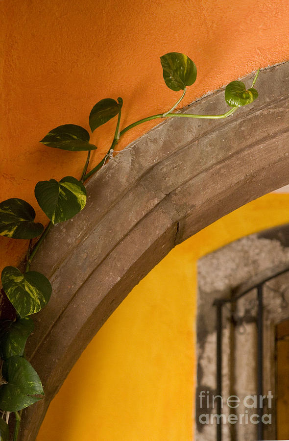 Orange Arch - Mexico Photograph by Craig Lovell