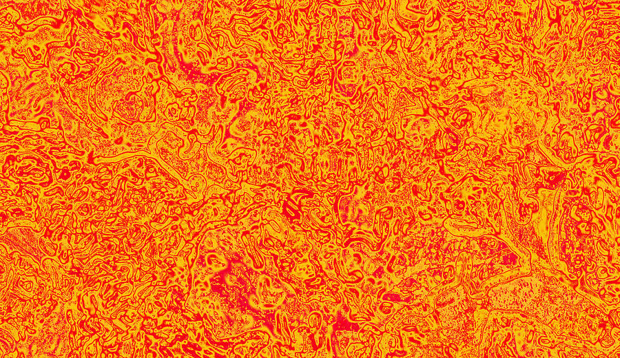 Orange Fire Digital Art by Steve Fields