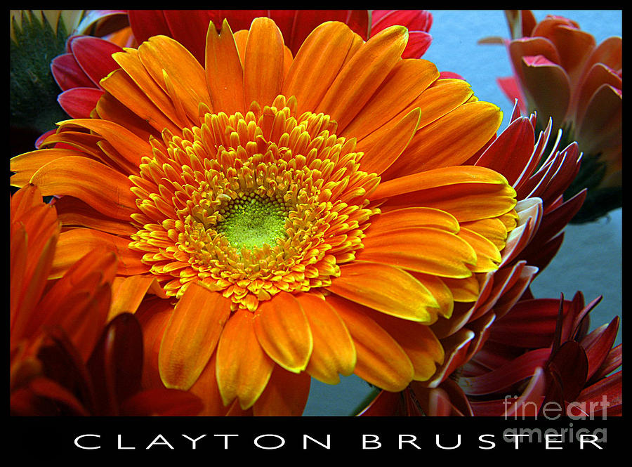Orange Floral Photograph by Clayton Bruster