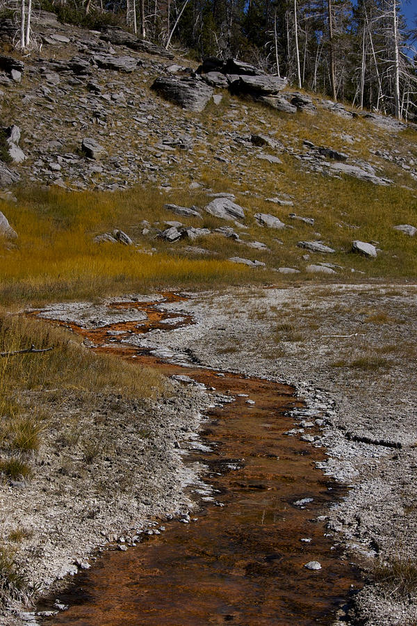Yellowstone National Park Photograph - Orange Flow by Susan Morris