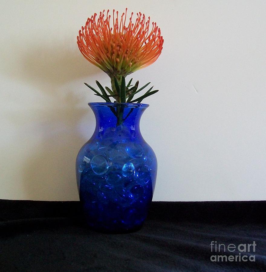 Orange Flower in Blue Vase Photograph by Marsha Heiken