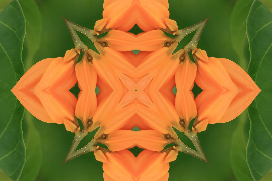 Orange-Green Kaleidoscope Photograph by Bill Barber