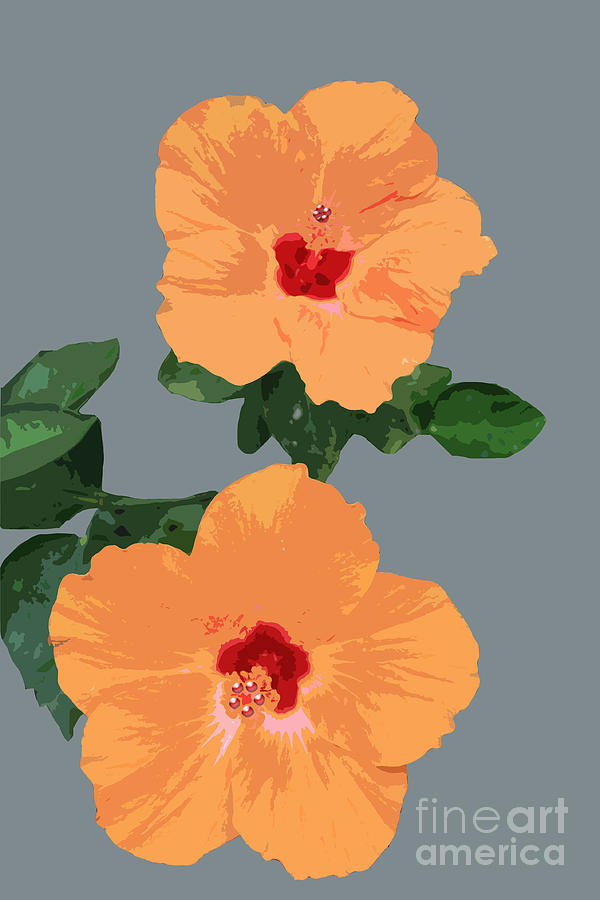Flower Digital Art - Orange Hibiscus Twins by Karen Nicholson