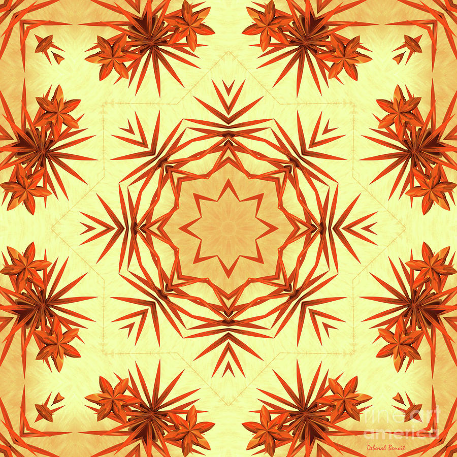 Flower Digital Art - Orange Kaleid by Deborah Benoit