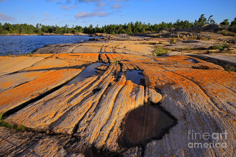 Orange Lichen and Rock Photograph by Charline Xia