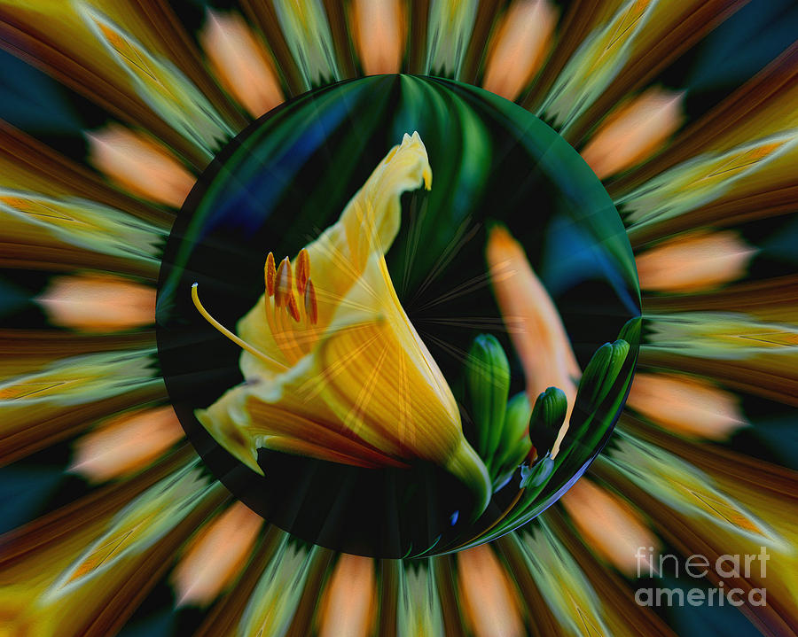 Orange Lily Energy Digital Art by Smilin Eyes Treasures