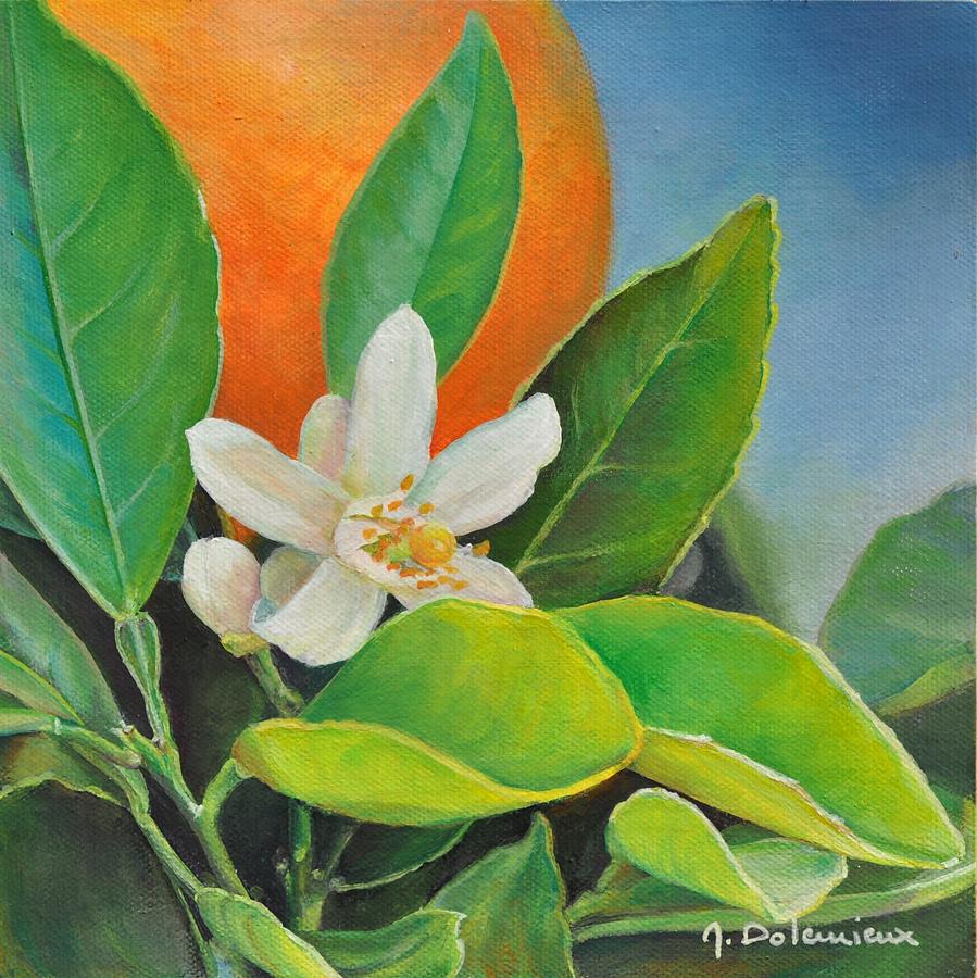 Flower Painting - Orange Posee by Muriel Dolemieux