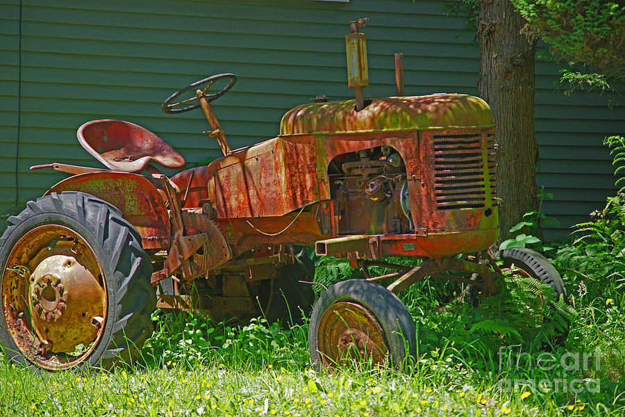 Orange Rusty Tractor Photograph by Randy Harris