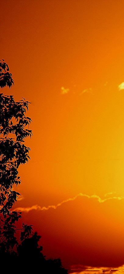 Sunset Photograph - Orange Silhouette by Louise Mingua
