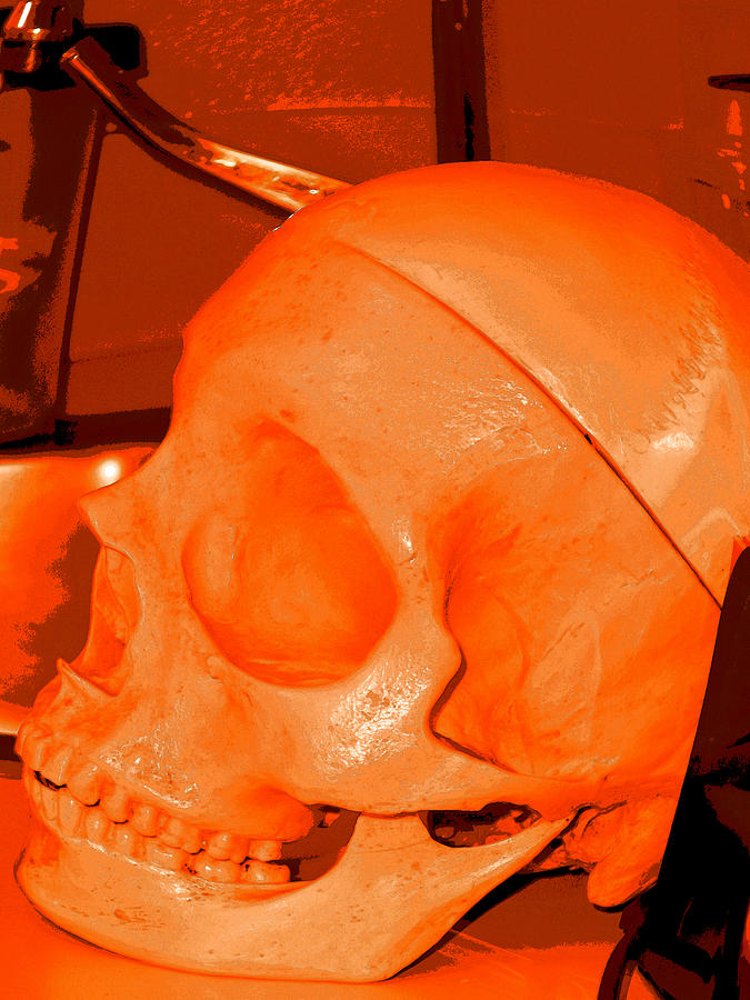 Orange Skull Photograph by Kym Backland