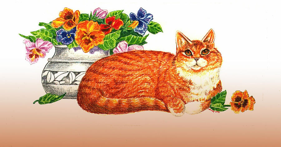 Orange Tabby Cat Drawing by Wendy McKennon