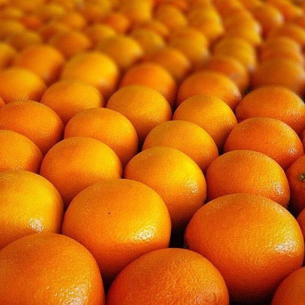 Instagram Photograph - Oranges by A L I