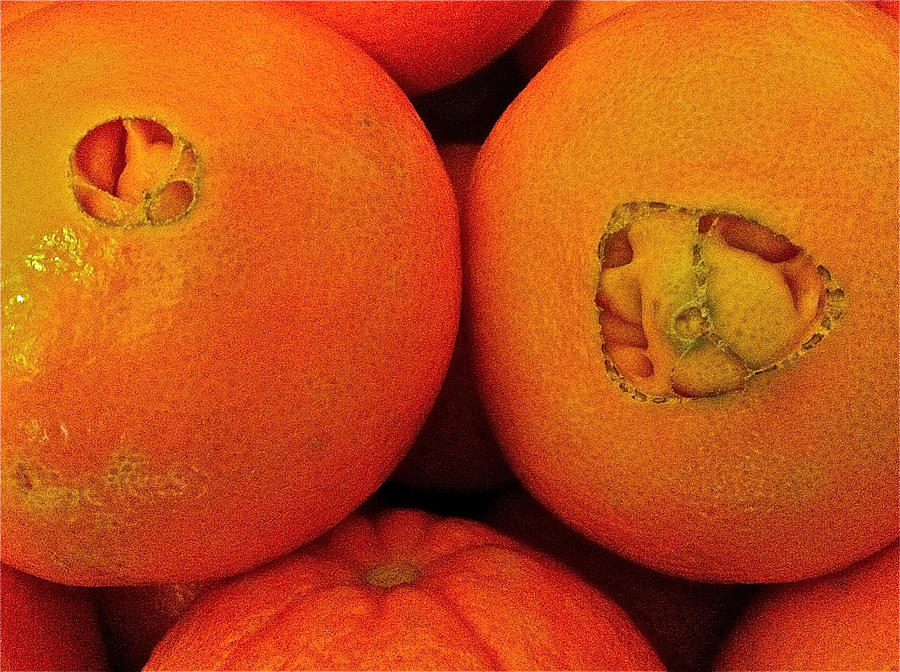 Oranges Photograph by Bill Owen