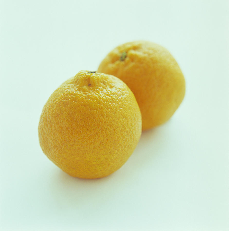 Fruit Photograph - Oranges by David Munns