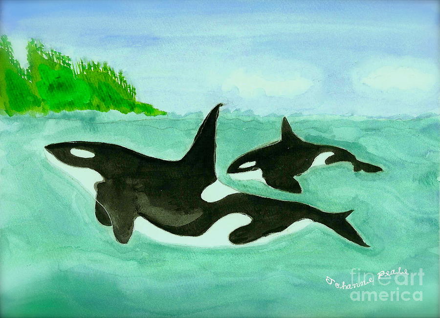 Orca Painting by Johanne Peale