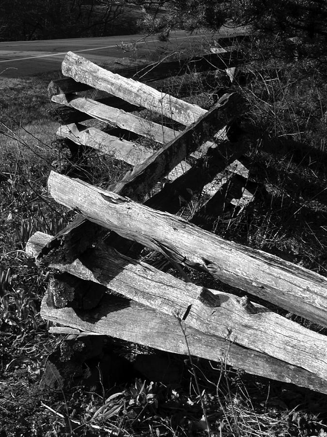 Ansel Adams Photograph - OrchardFence by Curtis J Neeley Jr