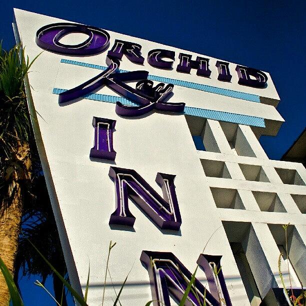 Sign Photograph - Orchid Key Inn, Key West - #sign by Troy Thomas