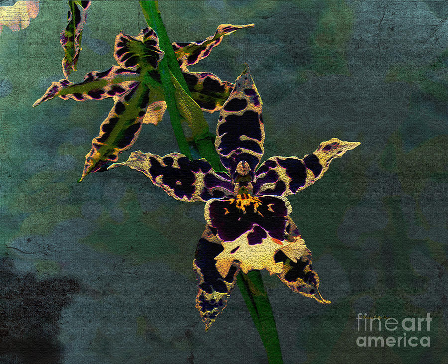 Orchid Study II Painting by Patricia Griffin Brett