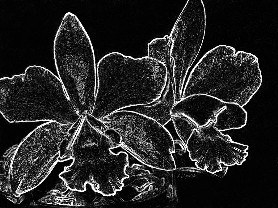 Orchids - Black and White Abstract Digital Art by Kerri Ligatich