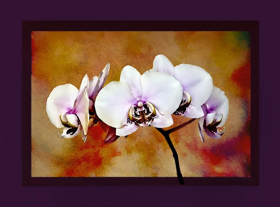 Orchids Painting by Mary Morawska