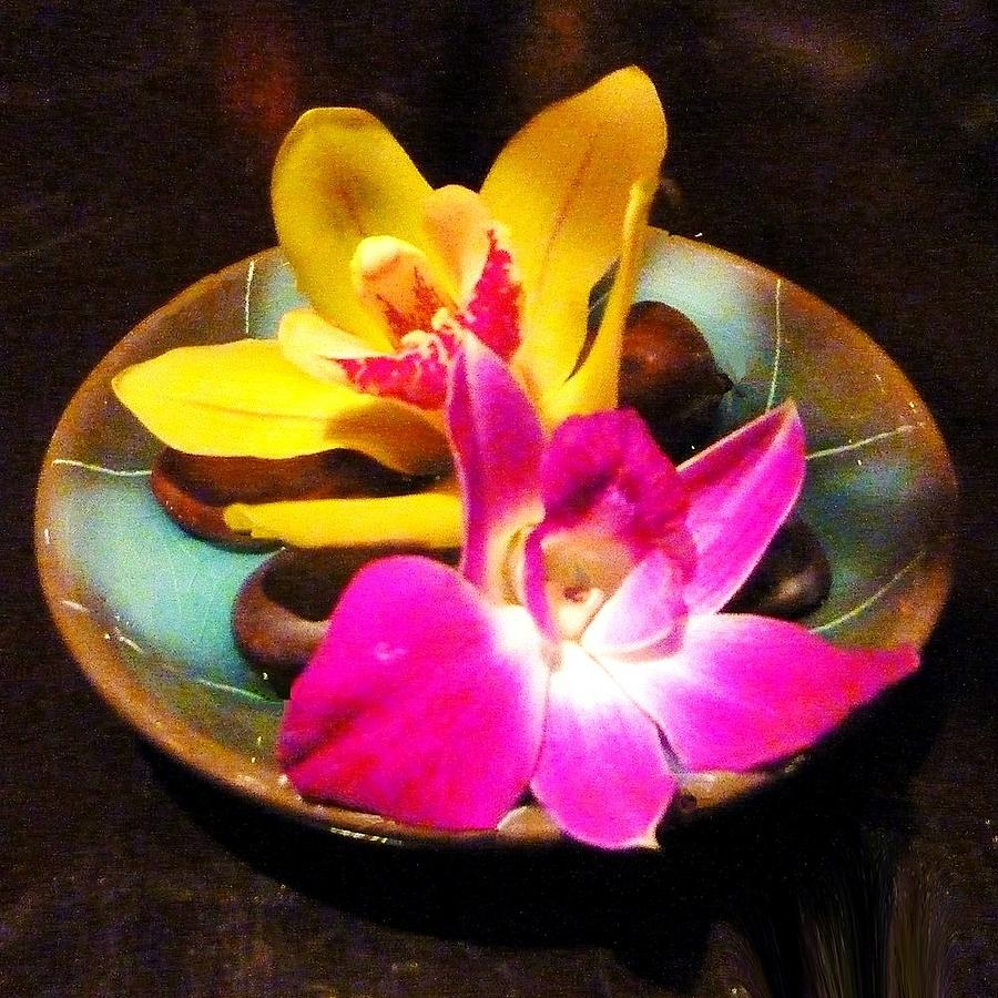 Orchids On The Table Photograph by Florene Welebny