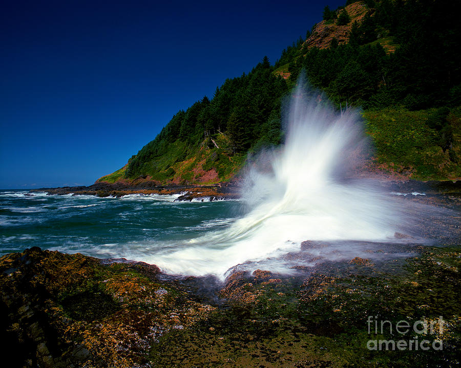 Oregon - Cape Perpetua Photograph by Terry Elniski