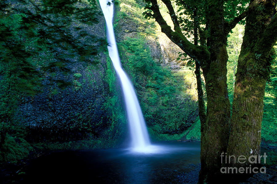 Oregon - Horsetail Falls Photograph by Terry Elniski