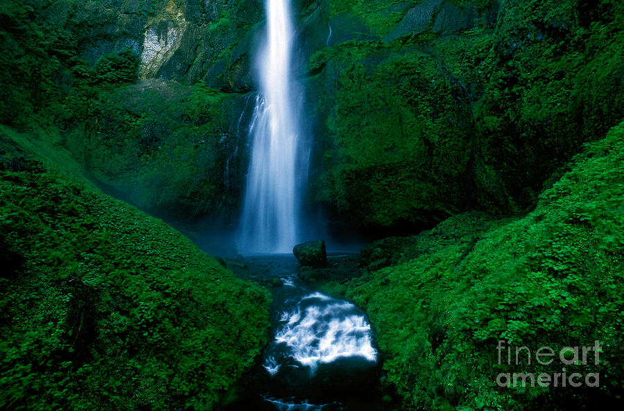 Oregon - Multnomah Falls Photograph by Terry Elniski