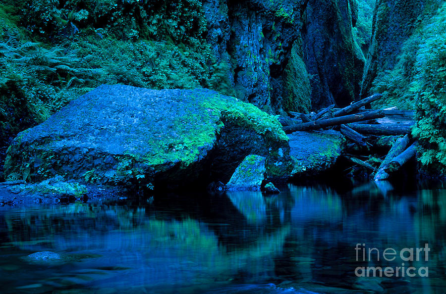 Oregon - Oneonta Gorge Photograph by Terry Elniski
