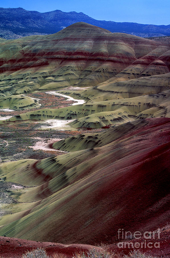 Oregon - Painted Hills Photograph by Terry Elniski