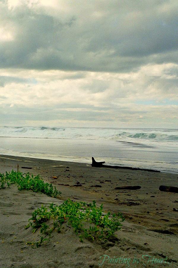Oregon Coast 17 by Deahn Benware Oregon Coast 17 by Deahn Benware