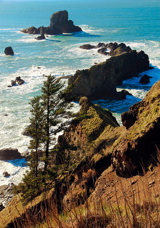 Oregon Coast Photograph by Athena Mckinzie