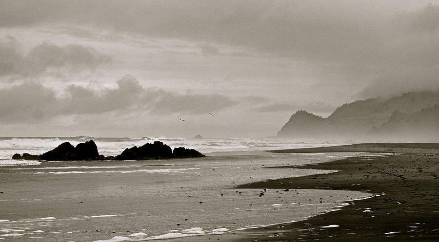 Oregon Coast Photograph by Eric Tressler