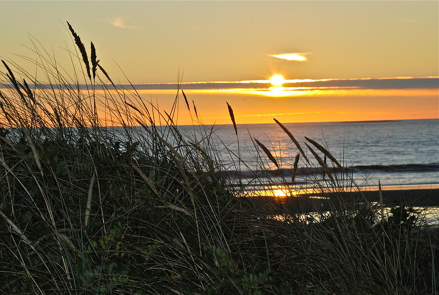 Oregon Coast Sunset Photograph by Liz Vernand