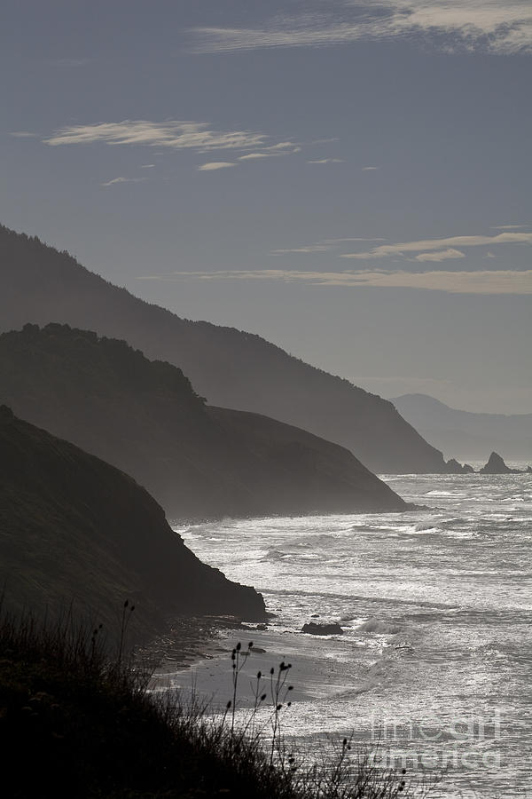 Oregon Coast Photograph by Timothy Johnson