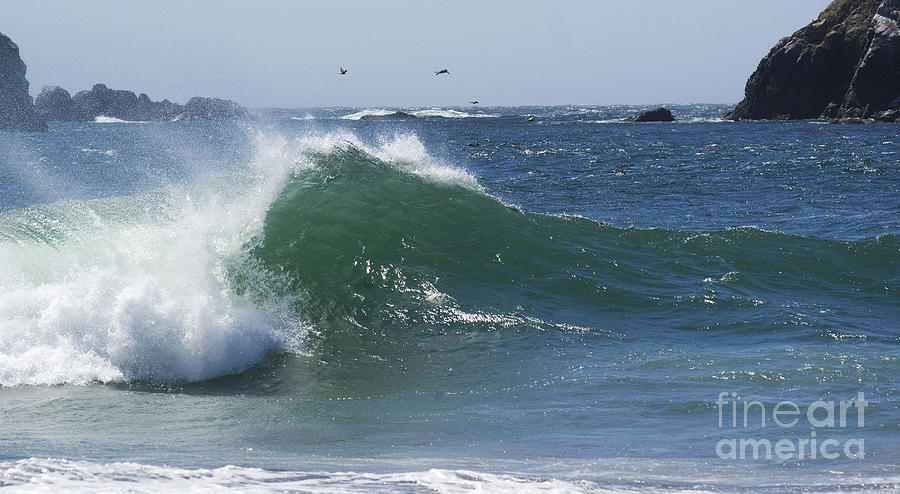 Oregon coast wave Photograph by Jim And Emily Bush
